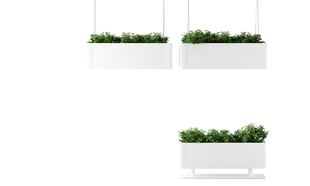 Green Light.Design of these rectangular plant pots